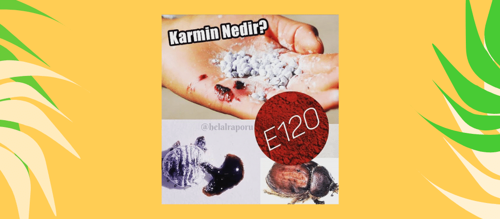Karmin Nedir?