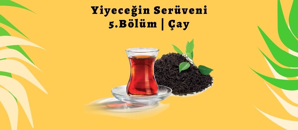 Yiyeceğin Serüveni – 5. Bölüm – Çay