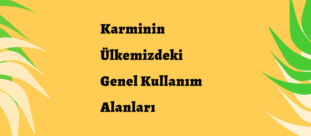 Karminin Ülkemizdeki Genel Kullanım Alanları