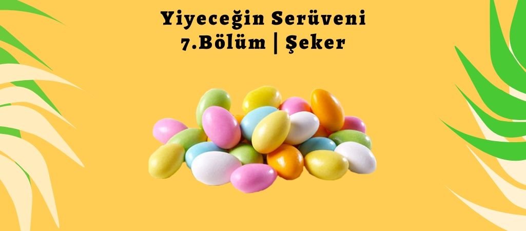 Yiyeceğin Serüveni – 7. Bölüm – Şeker