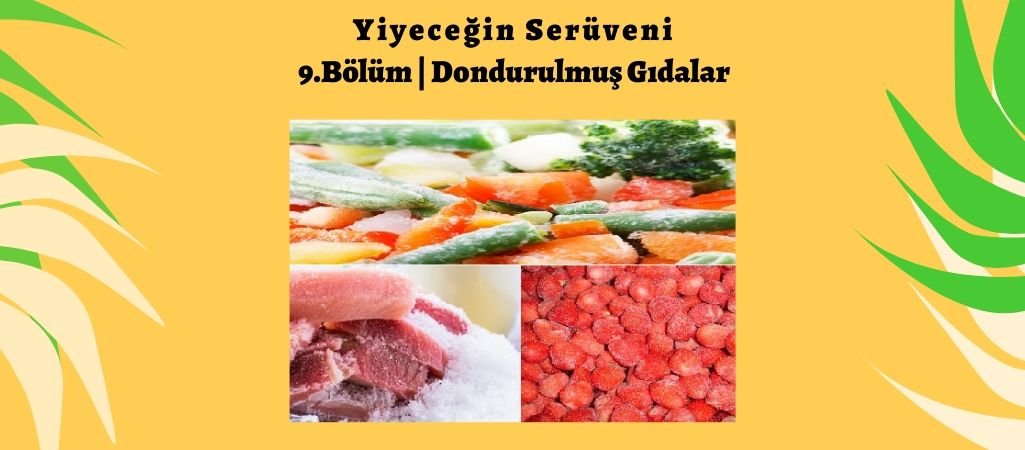 Yiyeceğin Serüveni – 9. Bölüm – Dondurulmuş Gıdalar