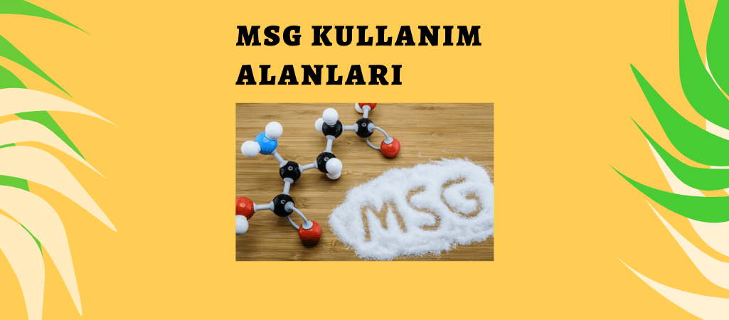 MSG Kullanım Alanları Nelerdir?