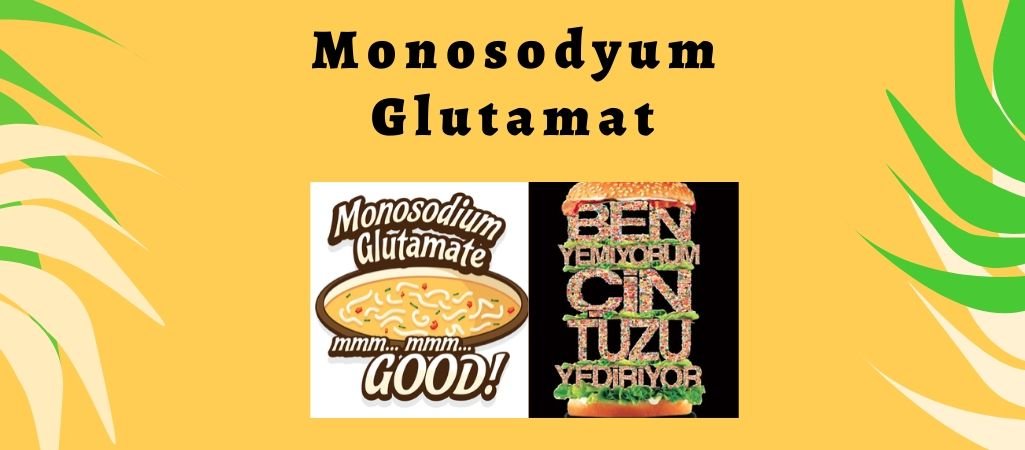 Monosodyum Glutamat İçeren Bazı Ürünler