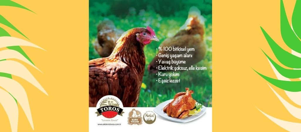 Akdeniz Toros Tavuk Ürünleri Helal Mi ?