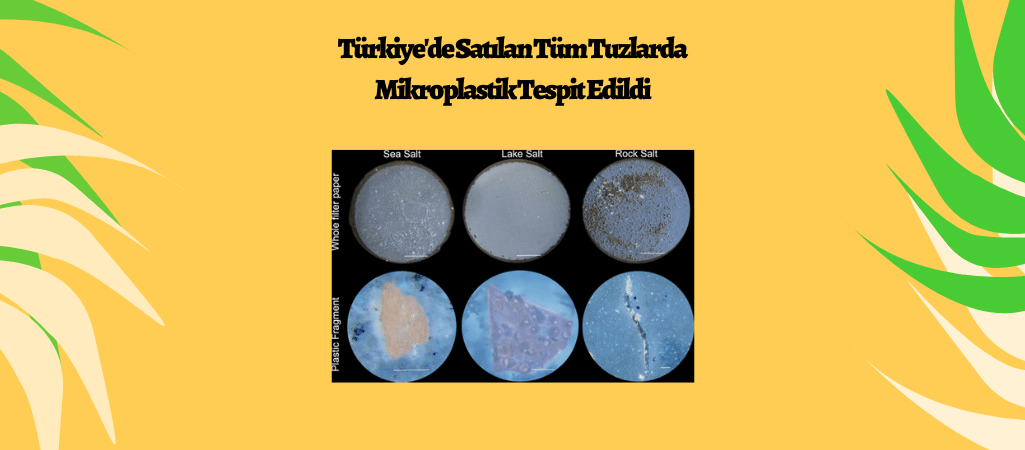 Türkiye’de Satılan Tüm Tuzlarda Mikroplastik Tespit Edildi