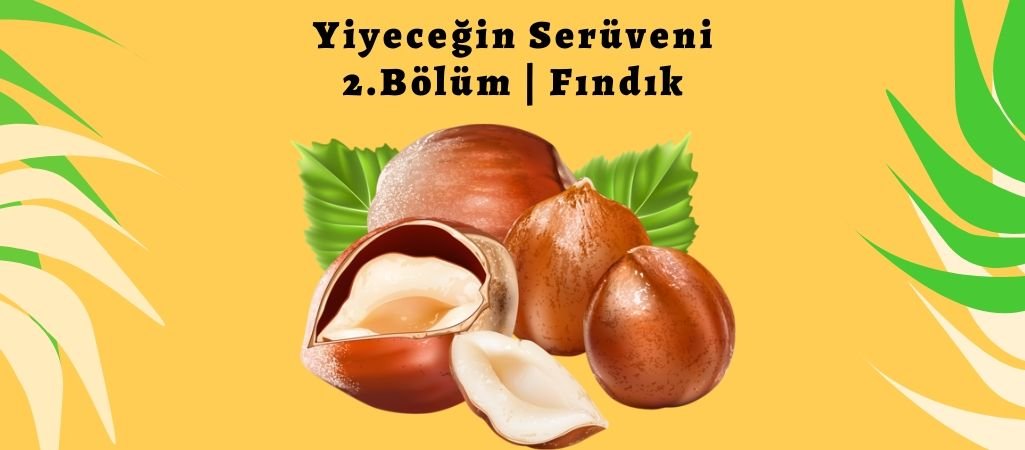 Yiyeceğin Serüveni – 2. Bölüm – Fındık