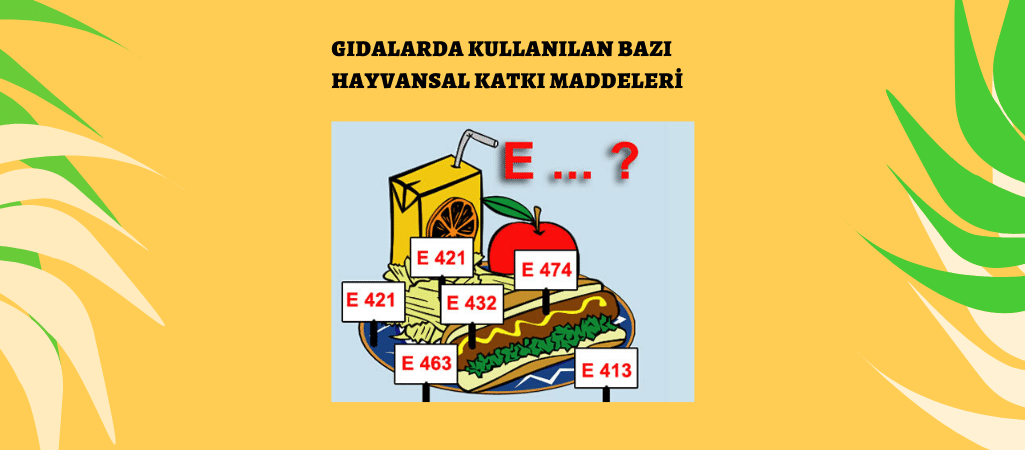 Gıdalarda Kullanılan Bazı Hayvansal Katkı Maddeleri