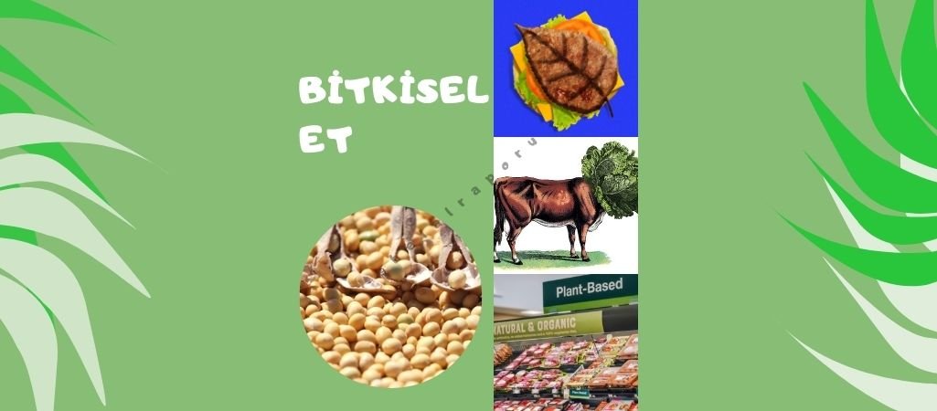 Yapay Et – Bitkisel Et – Bitkisel Whooper