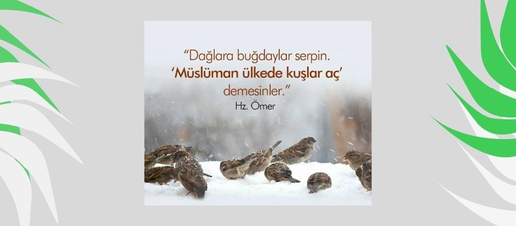 Dağlara Buğdaylar Serpin