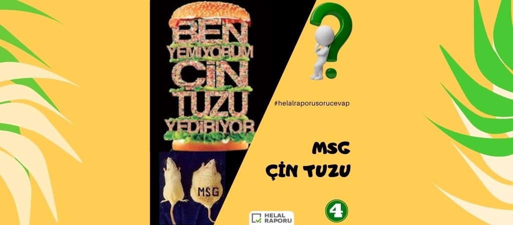 ÇİN TUZU (MSG) İÇEREN BAZI GIDALAR